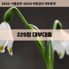 KCB229점대부대출 NICE229점비대면대출 KCB229점소액대부업체 NICE229점급전대출개인돈 KCB229점월변대출