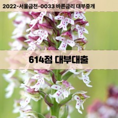 KCB614점대부대출 NICE614점비대면대출 KCB614점소액대부업체 NICE614점급전대출개인돈 KCB614점월변대출