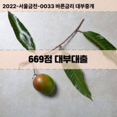 KCB669점대부대출 NICE669점비대면대출 KCB669점소액대부업체 NICE669점급전대출개인돈 KCB669점월변대출