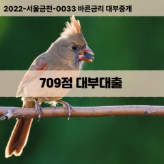 KCB709점대부대출 NICE709점비대면대출 KCB709점소액대부업체 NICE709점급전대출개인돈 KCB709점월변대출