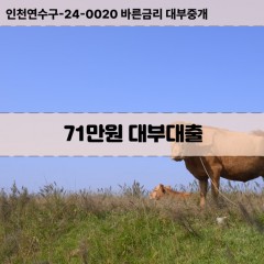 71만원대부대출 71만원비대면대출 71만원소액대부업체 71만원급전대출개인돈 71만원월변대출