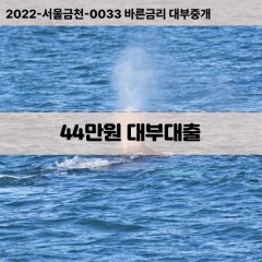 44만원대부대출 44만원비대면대출 44만원소액대부업체 44만원급전대출개인돈 44만원월변대출