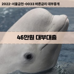 46만원대부대출 46만원비대면대출 46만원소액대부업체 46만원급전대출개인돈 46만원월변대출