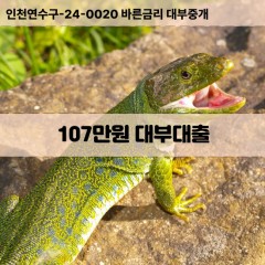 107만원대부대출 107만원비대면대출 107만원소액대부업체 107만원급전대출개인돈 107만원월변대출