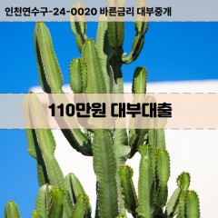 110만원대부대출 110만원비대면대출 110만원소액대부업체 110만원급전대출개인돈 110만원월변대출