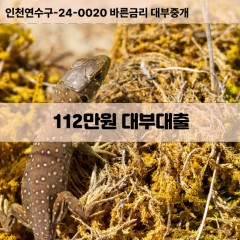 112만원대부대출 112만원비대면대출 112만원소액대부업체 112만원급전대출개인돈 112만원월변대출