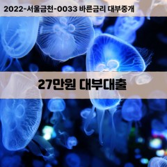 27만원대부대출 27만원비대면대출 27만원소액대부업체 27만원급전대출개인돈 27만원월변대출