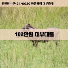 102만원대부대출 102만원비대면대출 102만원소액대부업체 102만원급전대출개인돈 102만원월변대출