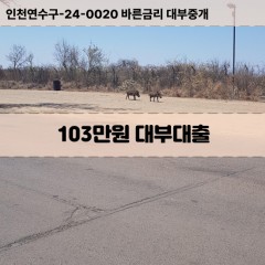 103만원대부대출 103만원비대면대출 103만원소액대부업체 103만원급전대출개인돈 103만원월변대출