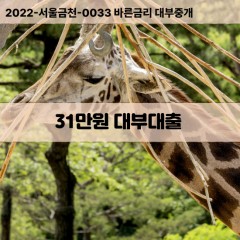 31만원대부대출 31만원비대면대출 31만원소액대부업체 31만원급전대출개인돈 31만원월변대출