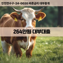 264만원대부대출 264만원비대면대출 264만원소액대부업체 264만원급전대출개인돈 264만원월변대출