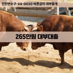 265만원대부대출 265만원비대면대출 265만원소액대부업체 265만원급전대출개인돈 265만원월변대출