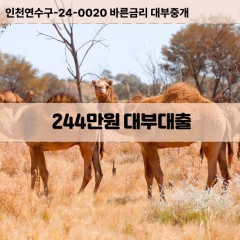 244만원대부대출 244만원비대면대출 244만원소액대부업체 244만원급전대출개인돈 244만원월변대출