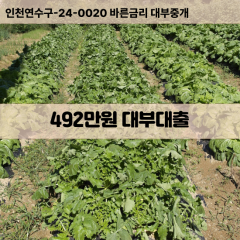 492만원대부대출 492만원비대면대출 492만원소액대부업체 492만원급전대출개인돈 492만원월변대출