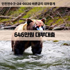 646만원대부대출 646만원비대면대출 646만원소액대부업체 646만원급전대출개인돈 646만원월변대출