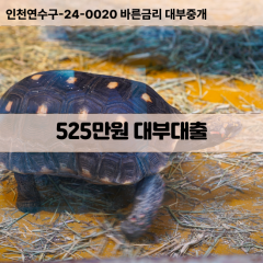 525만원대부대출 525만원비대면대출 525만원소액대부업체 525만원급전대출개인돈 525만원월변대출