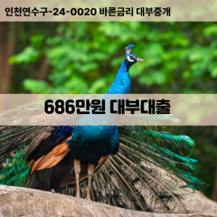 686만원대부대출 686만원비대면대출 686만원소액대부업체 686만원급전대출개인돈 686만원월변대출