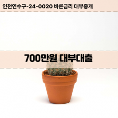 700만원대부대출 700만원비대면대출 700만원소액대부업체 700만원급전대출개인돈 700만원월변대출