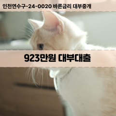 923만원대부대출 923만원비대면대출 923만원소액대부업체 923만원급전대출개인돈 923만원월변대출