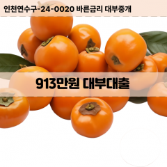 913만원대부대출 913만원비대면대출 913만원소액대부업체 913만원급전대출개인돈 913만원월변대출