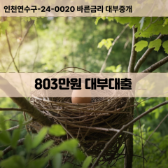 803만원대부대출 803만원비대면대출 803만원소액대부업체 803만원급전대출개인돈 803만원월변대출