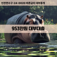 953만원대부대출 953만원비대면대출 953만원소액대부업체 953만원급전대출개인돈 953만원월변대출