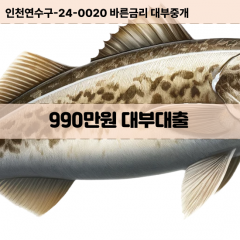 990만원대부대출 990만원비대면대출 990만원소액대부업체 990만원급전대출개인돈 990만원월변대출