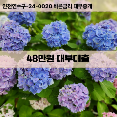 48만원빠른돈 48만원급한대출 48만원당일대출 48만원비대면무방문 48만원비교대출상담