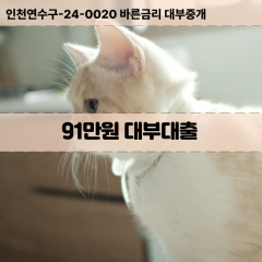 91만원빠른돈 91만원급한대출 91만원당일대출 91만원비대면무방문 91만원비교대출상담