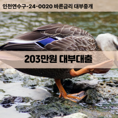 203만원빠른돈 203만원급한대출 203만원당일대출 203만원비대면무방문 203만원비교대출상담