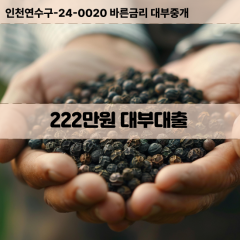 222만원빠른돈 222만원급한대출 222만원당일대출 222만원비대면무방문 222만원비교대출상담