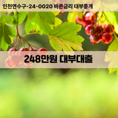 248만원빠른돈 248만원급한대출 248만원당일대출 248만원비대면무방문 248만원비교대출상담