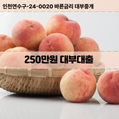 250만원빠른돈 250만원급한대출 250만원당일대출 250만원비대면무방문 250만원비교대출상담